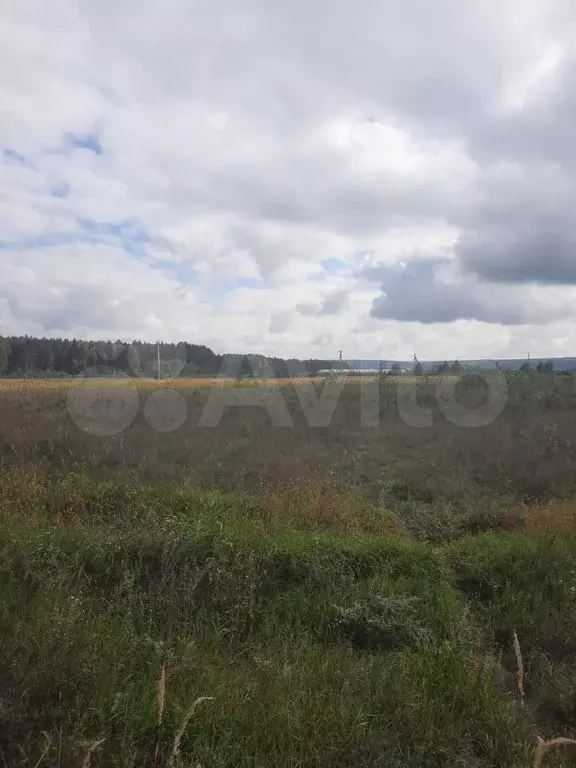 Участок 5 га (СНТ, ДНП) - Фото 0