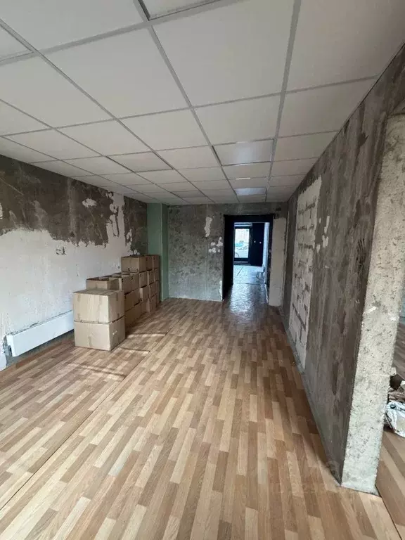 Помещение свободного назначения в Московская область, Ленинский ... - Фото 1