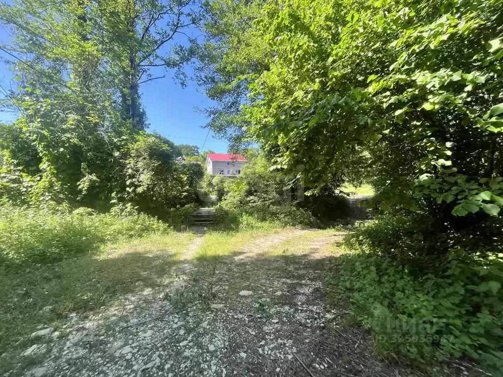 Участок в Краснодарский край, Геленджик городской округ, с. ... - Фото 1