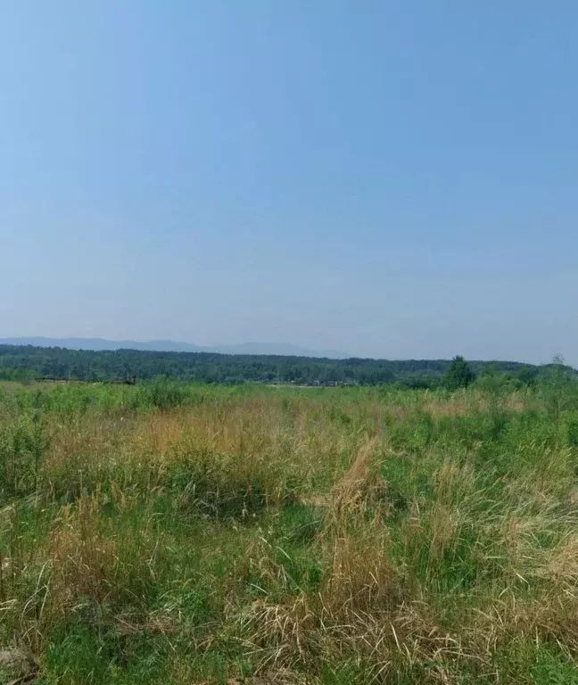 Участок в Хабаровский край, Хабаровский район, с. Краснореченское  ... - Фото 0