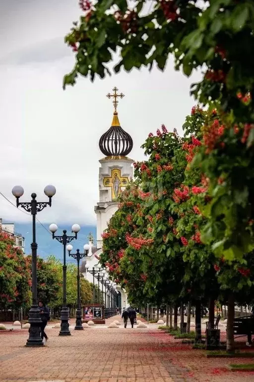 Комната Краснодарский край, Новороссийск ул. Черняховского, 10 (15.0 ... - Фото 1