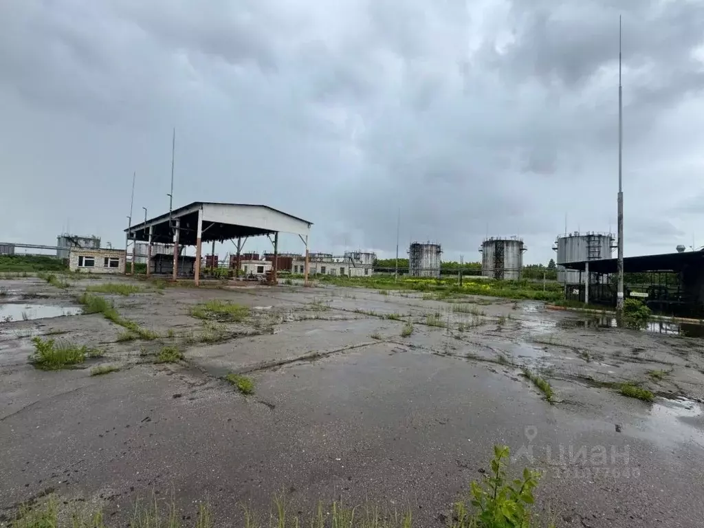 Производственное помещение в Нижегородская область, Шатки рп ул. ... - Фото 1