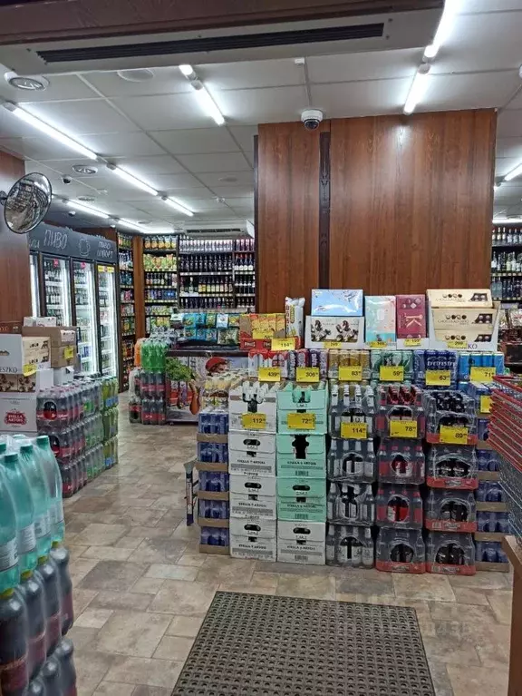 Торговая площадь в Новосибирская область, Новосибирск Выборная ул., ... - Фото 0