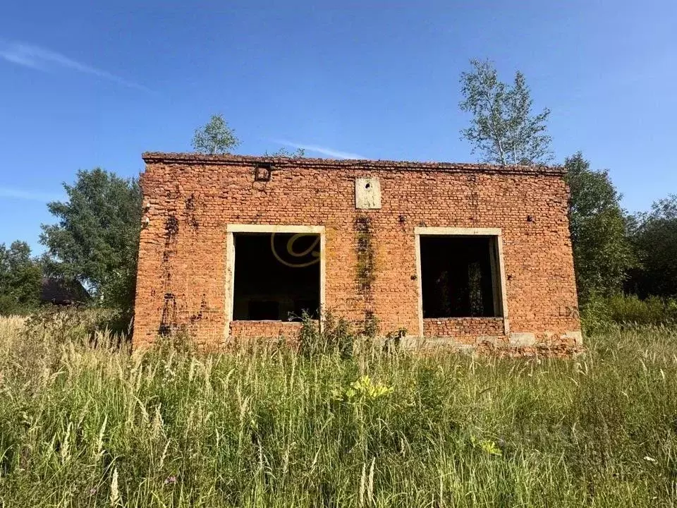 Помещение свободного назначения в Московская область, Клин городской ... - Фото 1