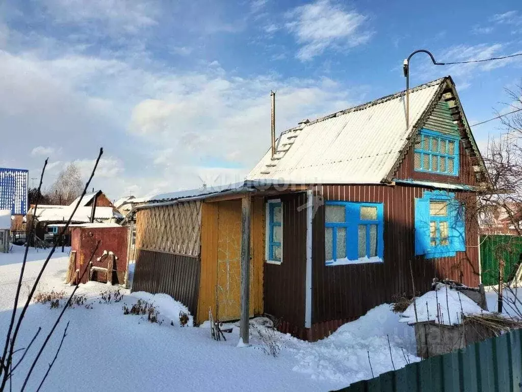 Дом в Новосибирская область, Новосибирский район, Толмачевский ... - Фото 0