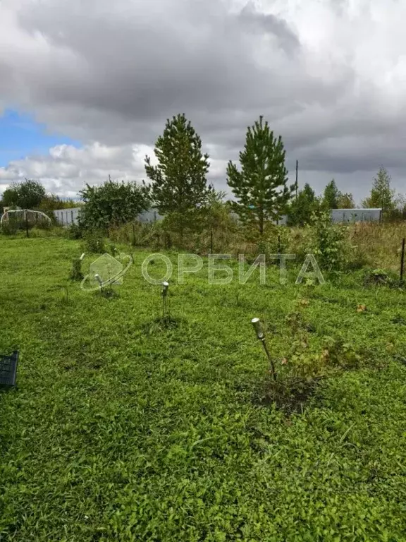 Участок в Тюменская область, Тюменский муниципальный округ, ... - Фото 2