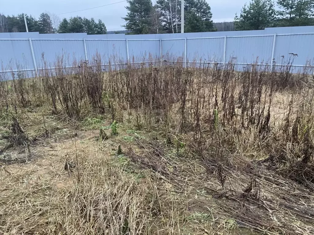 Участок в Тверская область, Тверь пос. Черкассы, ул. Дорожников, 9 ... - Фото 2