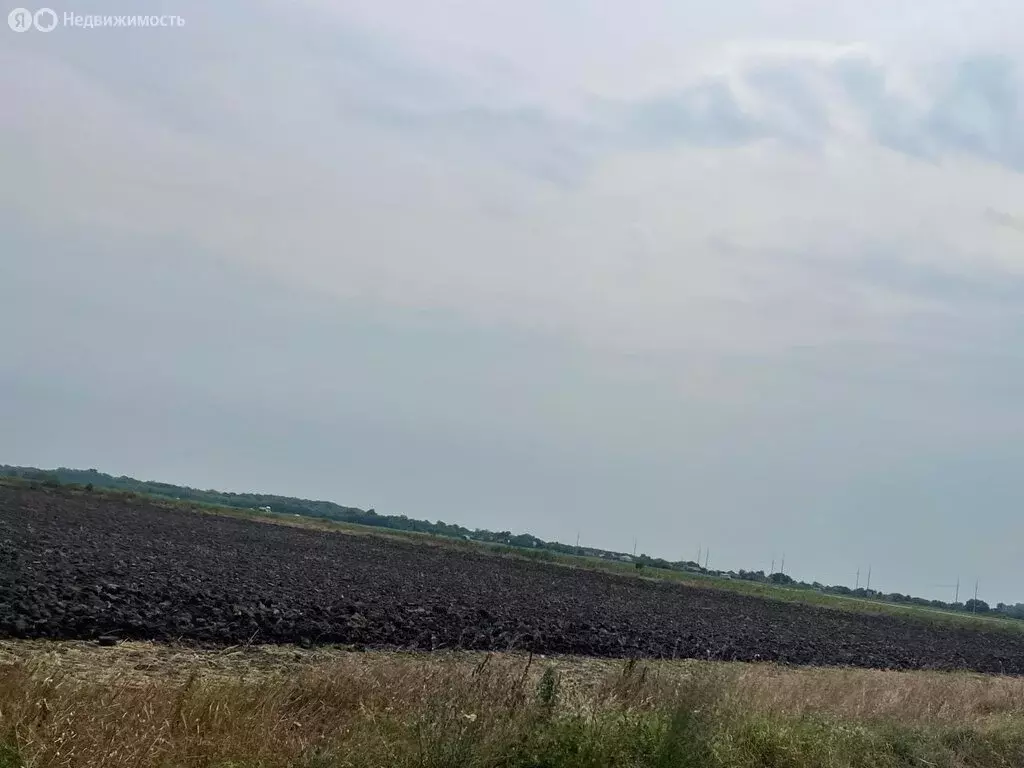 Участок в Славянский район, Анастасиевское сельское поселение, станица ... - Фото 1