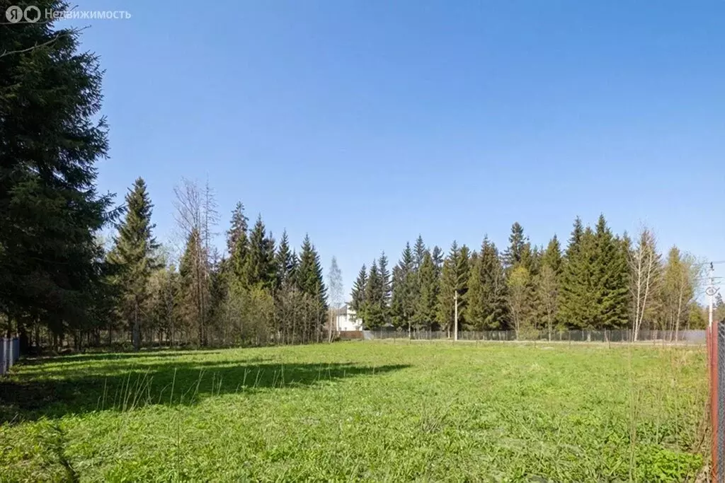 Участок в деревня Сивково, КП Зелёная роща-1, 817 (14.4 м) - Фото 2