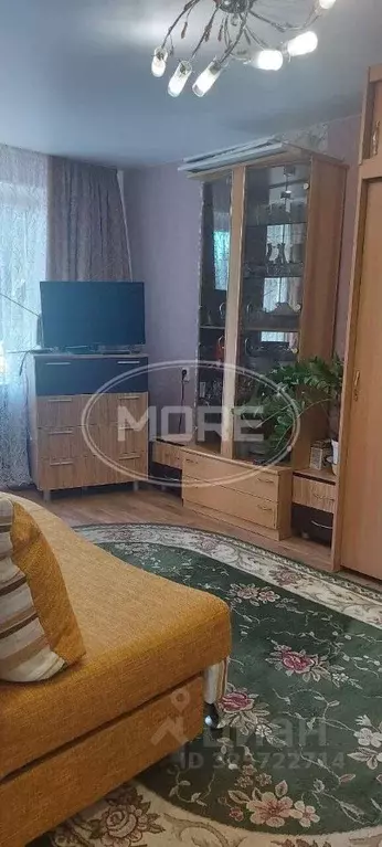 1-к кв. Калининградская область, Светлогорский городской округ, пос. ... - Фото 2