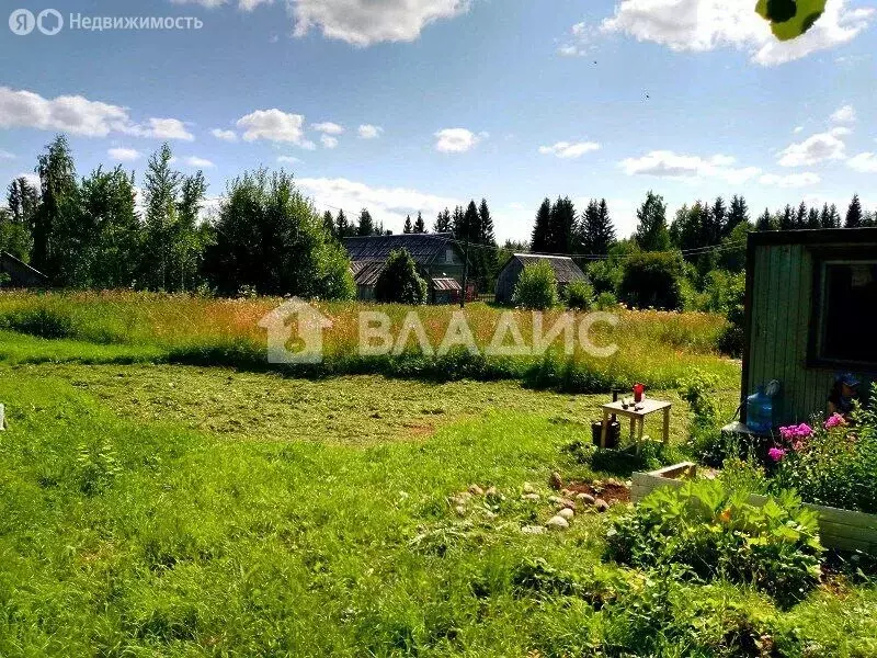 Участок в Верхнеолонецкий, Лесная улица, 27 (900 м) - Фото 1