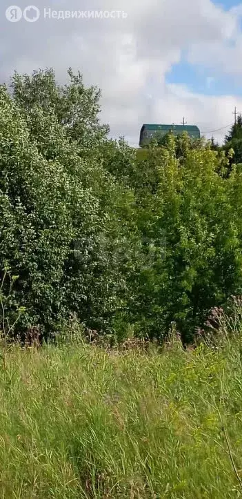 Участок в Юго-Камский, квартал Заюг (1531 м) - Фото 2