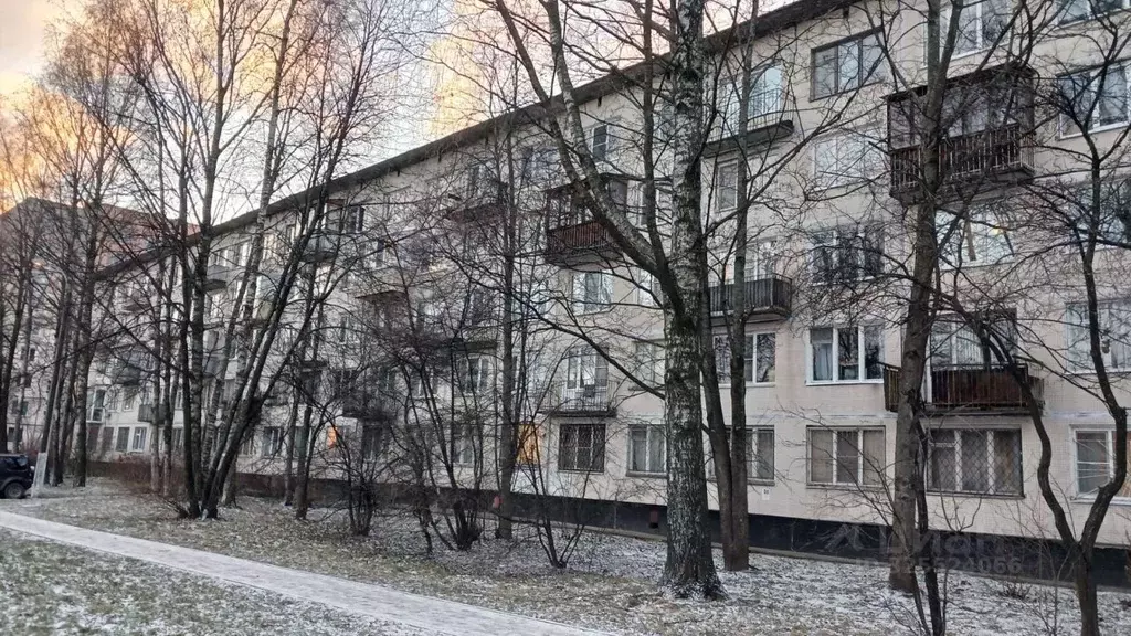 1-к кв. Санкт-Петербург Тимуровская ул., 6К1 (30.1 м) - Фото 1