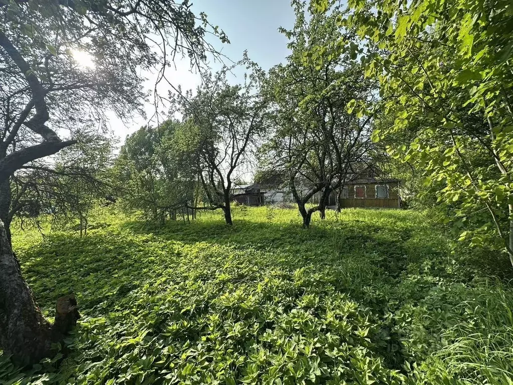 Участок в Ленинградская область, Выборг ул. 1-я Заезжая (12.0 сот.) - Фото 0