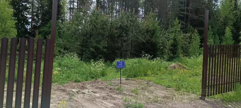 Участок в Ленинградская область, Выборгский район, Полянское с/пос, ... - Фото 2