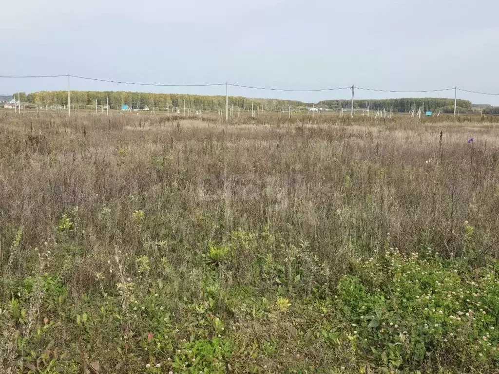 Участок в Тюменская область, Тюменский муниципальный округ ... - Фото 2