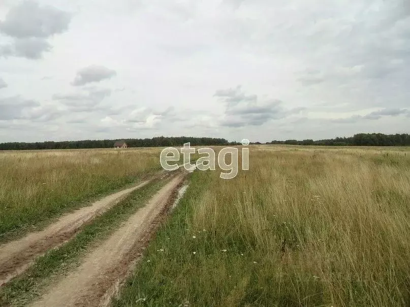 Участок в Калужская область, Калуга городской округ, д. Матюнино  ... - Фото 2