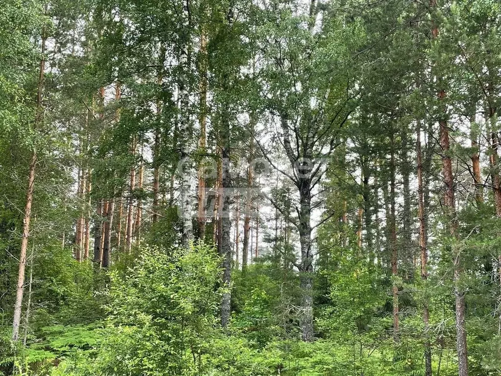 Участок в Ярославская область, Угличский район, Слободское с/пос, д. ... - Фото 2