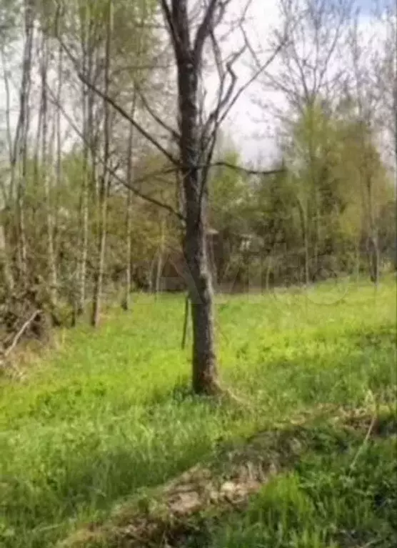 Участок 6 сот. (СНТ, ДНП) - Фото 0