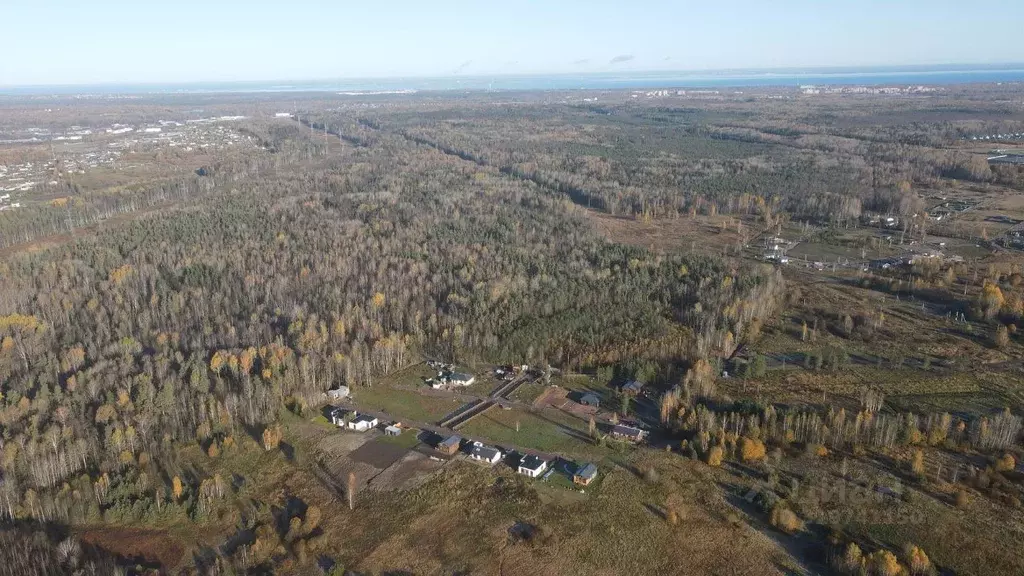 Участок в Ленинградская область, Ломоносовский район, Низинское с/пос, ... - Фото 2