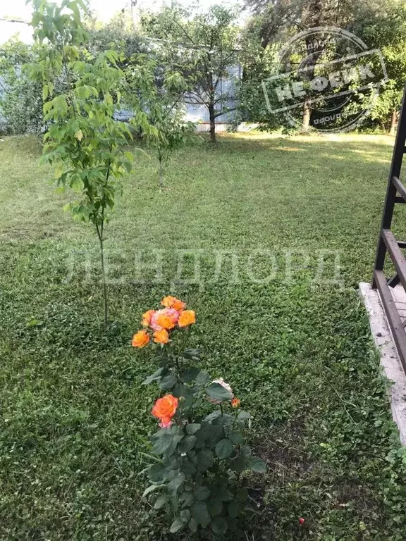 Участок в Ростовская область, Азовский район, с. Самарское Базарный ... - Фото 1