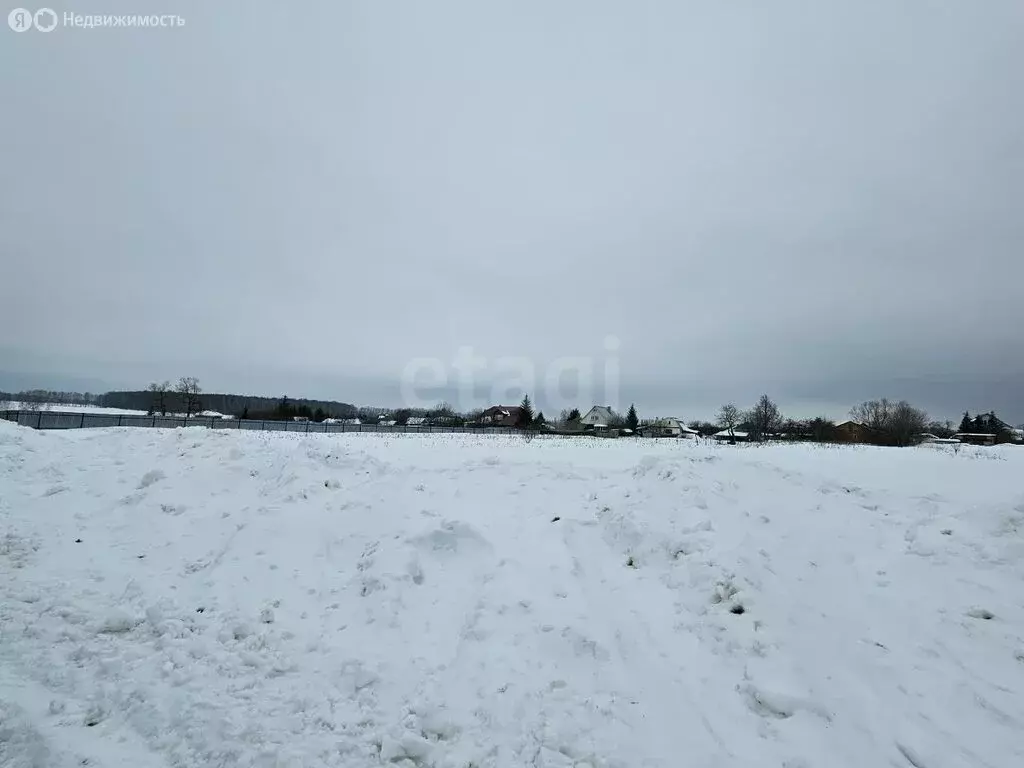 Участок в Тульская область, Венёвский муниципальный округ, село ... - Фото 2