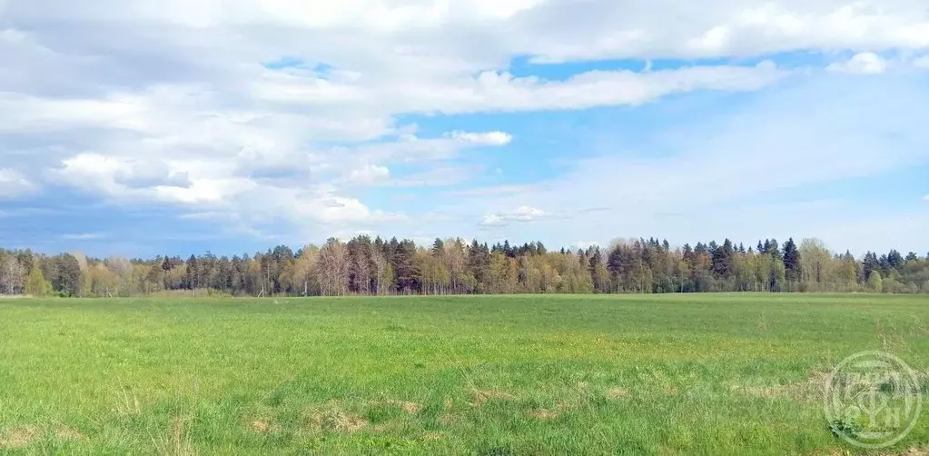 Участок в Ленинградская область, Выборгский район, Красносельское ... - Фото 0