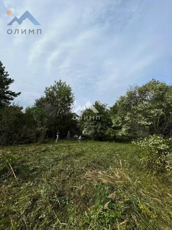 Участок в Вологодская область, Лиана садоводческое товарищество  (6.0 ... - Фото 1