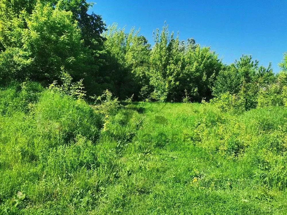 Участок в Краснодарский край, Хадыженск Апшеронский район, Тупиковый ... - Фото 1