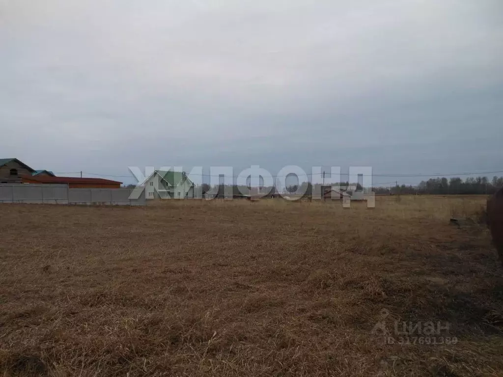 Участок в Новосибирская область, Новосибирский район, Морской ... - Фото 0