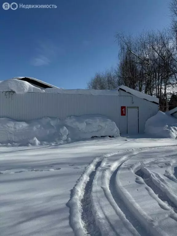 Дом в Ижевск, 3-я Артельная улица, 4А (497.5 м) - Фото 2