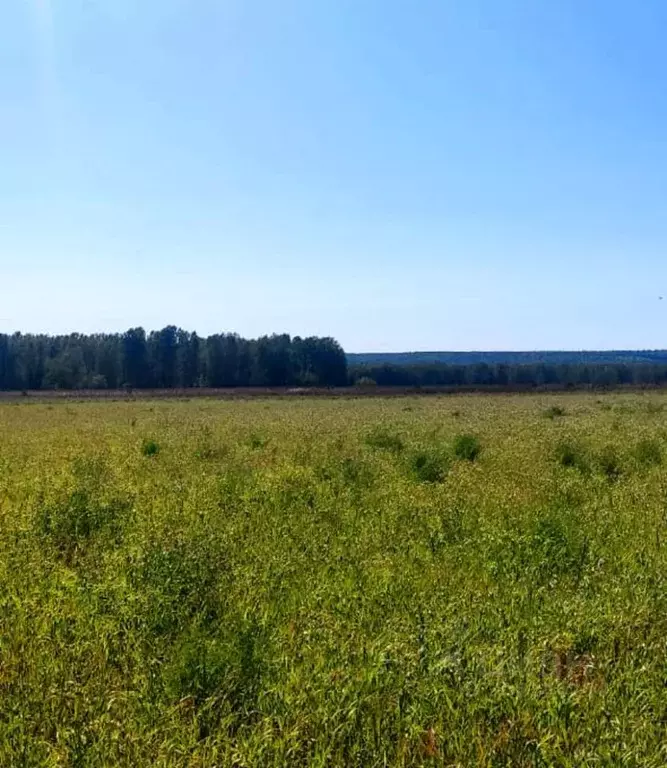 участок в красноярский край, емельяновский район, с. устюг (11.2 . - Фото 1