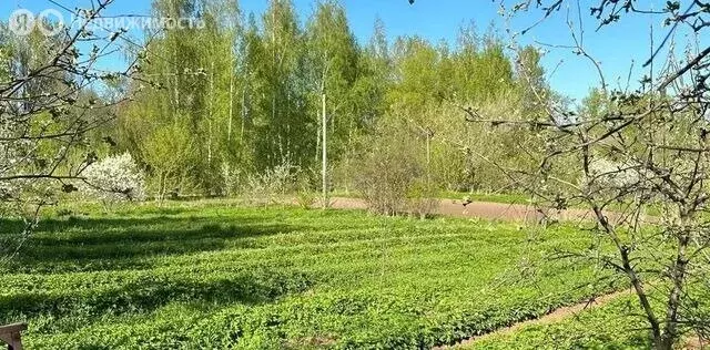 Участок в Ивангород, улица Рыбзавод, 17 (12 м) - Фото 2