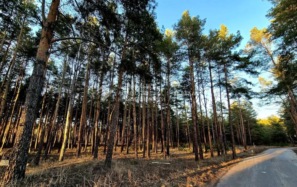 Участок в Рязанская область, Рязанский район, Дубровическое с/пос, ... - Фото 1
