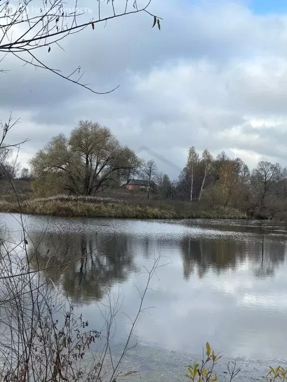 Дом в Воронино, 4 (58 м) - Фото 2