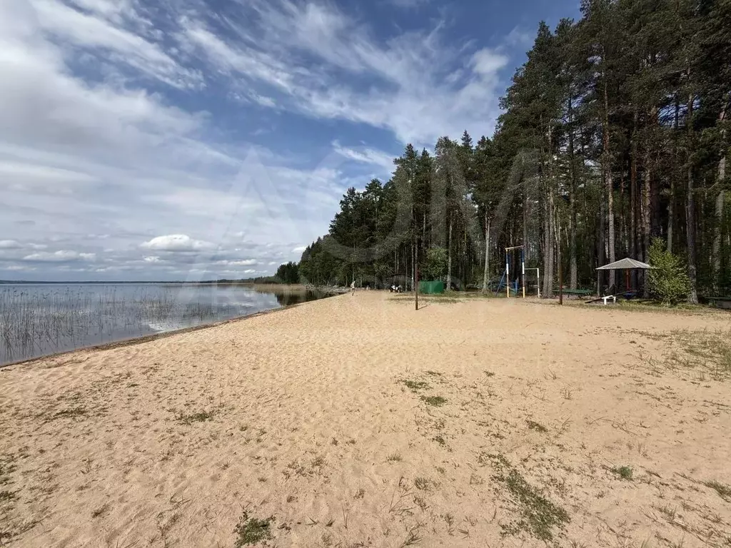 Участок в Ленинградская область, Приозерский район, Плодовское с/пос, ... - Фото 2