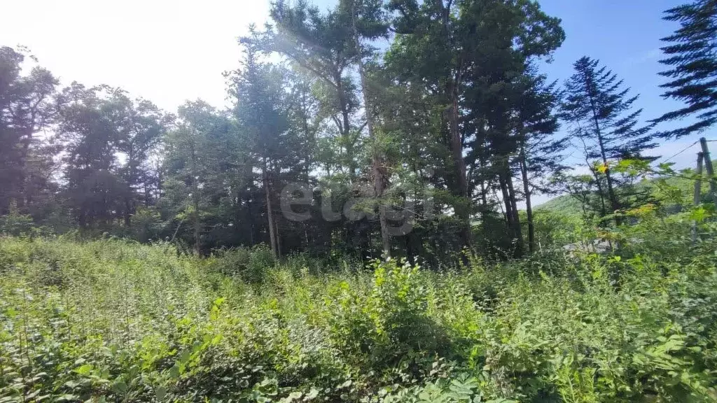 Участок в Приморский край, Владивосток ул. Балакирева (10.0 сот.) - Фото 0
