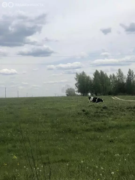 Участок в Щёкинский район, сельское поселение Яснополянское, село ... - Фото 1