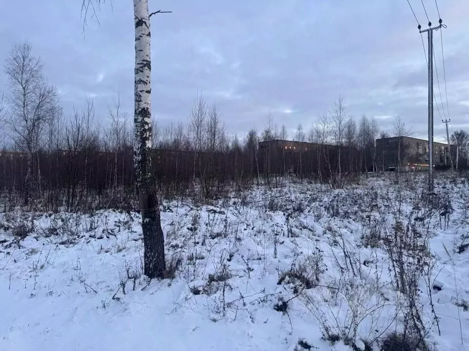 Участок в Московская область, Кашира проезд 2-й Новоселов (15.5 сот.) - Фото 2