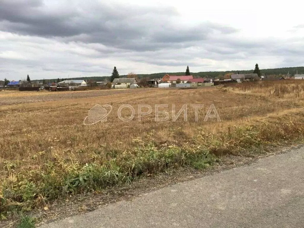Участок в Тюменская область, Тюменский муниципальный округ, с. ... - Фото 2