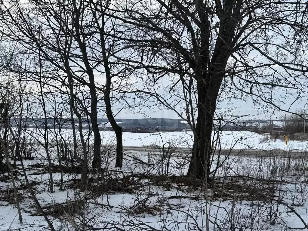 Участок в Белгородская область, Шебекинский муниципальный округ, ... - Фото 1