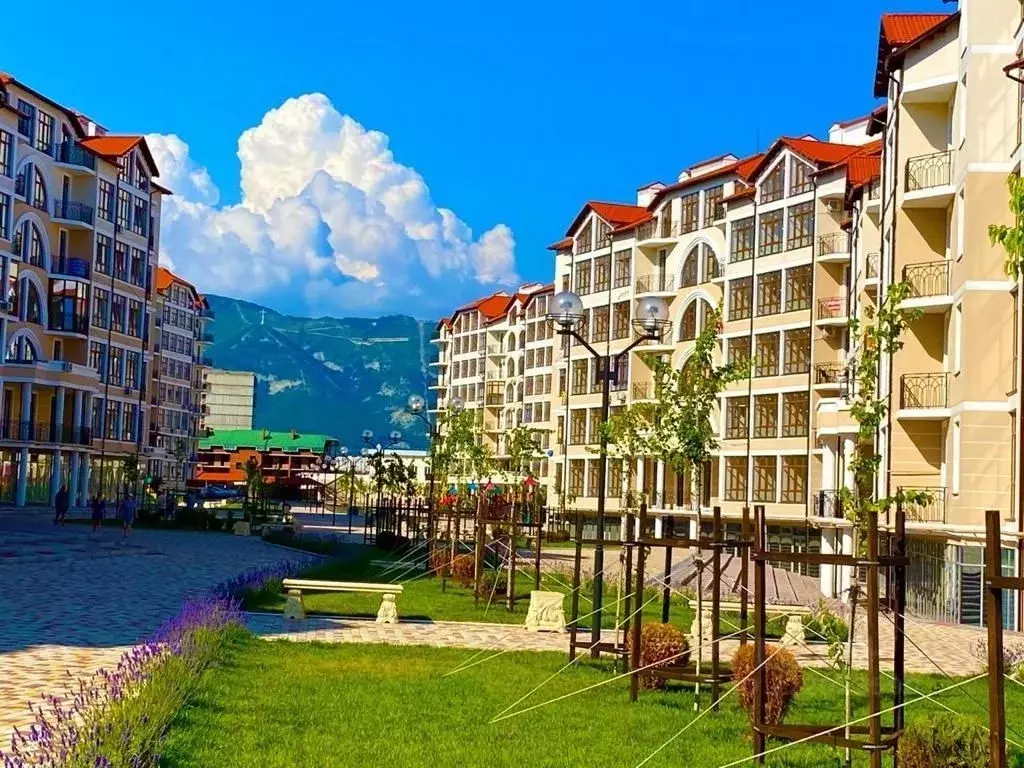 Помещение свободного назначения в Краснодарский край, Геленджик ... - Фото 1