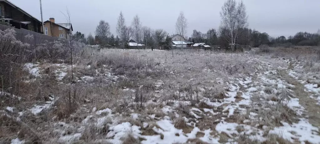 Участок в Московская область, Щелково городской округ, с. Душоново ул. ... - Фото 0