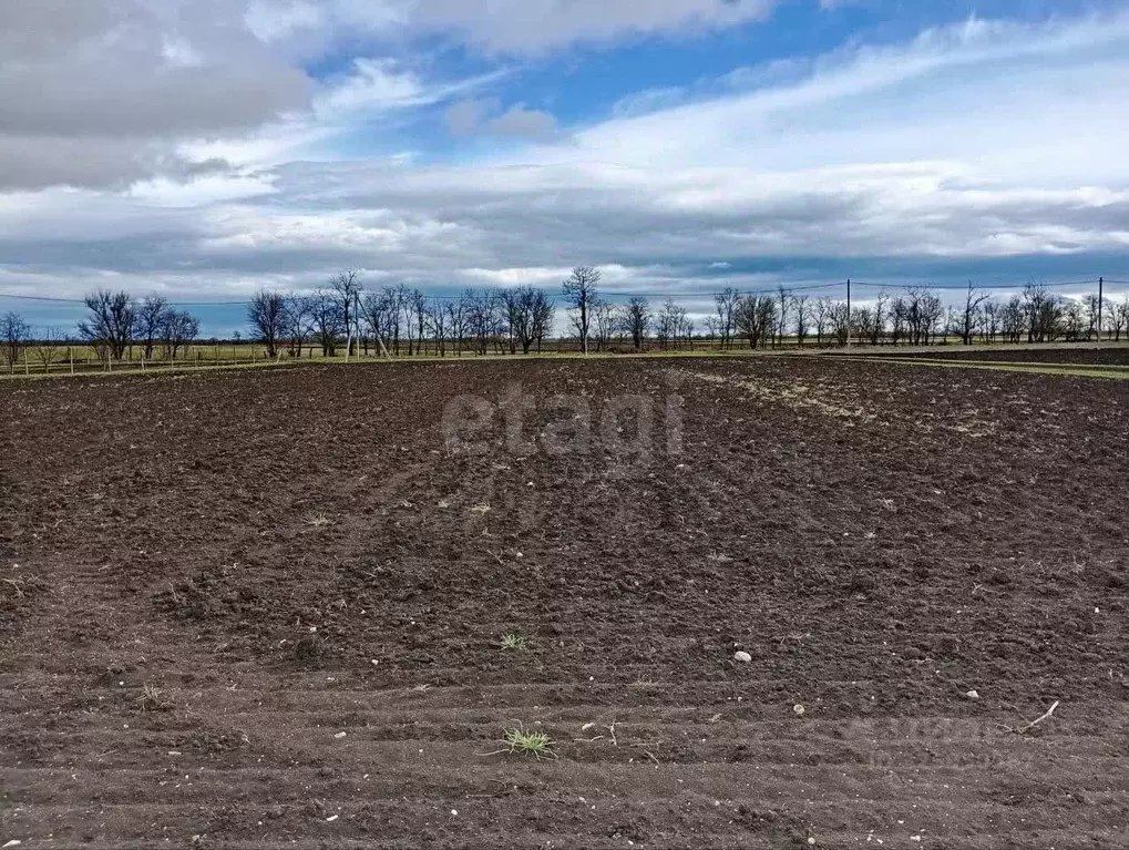 Участок в Крым, Советский район, Пушкинское с/пос, с. Маковка ул. ... - Фото 2