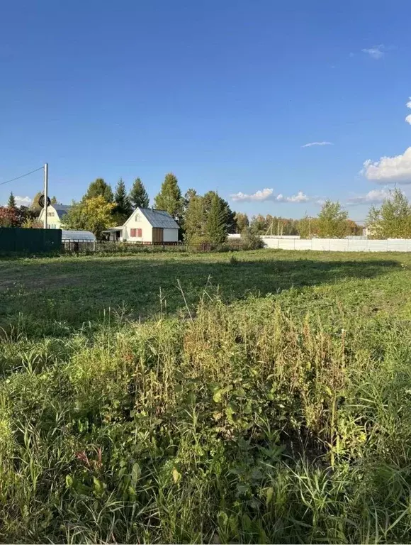 Участок в Новосибирская область, Новосибирский район, Морской ... - Фото 2