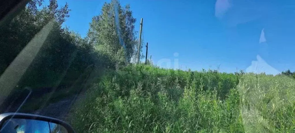 Участок в Тюменская область, Тюмень Большое Царево-1 СНТ,  (10.0 сот.) - Фото 0