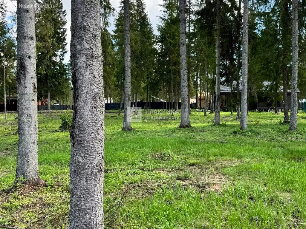 Участок в Московская область, городской округ Клин, эко-посёлок Ели ... - Фото 2