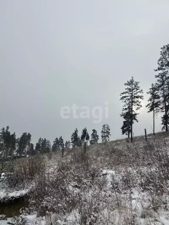 Участок в Бурятия, Улан-Удэ пос. Верхняя Березовка,  (10.0 сот.) - Фото 1