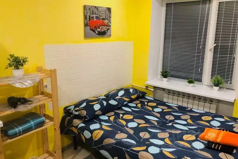 1-к кв. Московская область, Воскресенск Центральный мкр, ул. ... - Фото 2