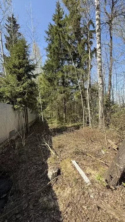 Участок в Московская область, Наро-Фоминский городской округ, д. ... - Фото 1